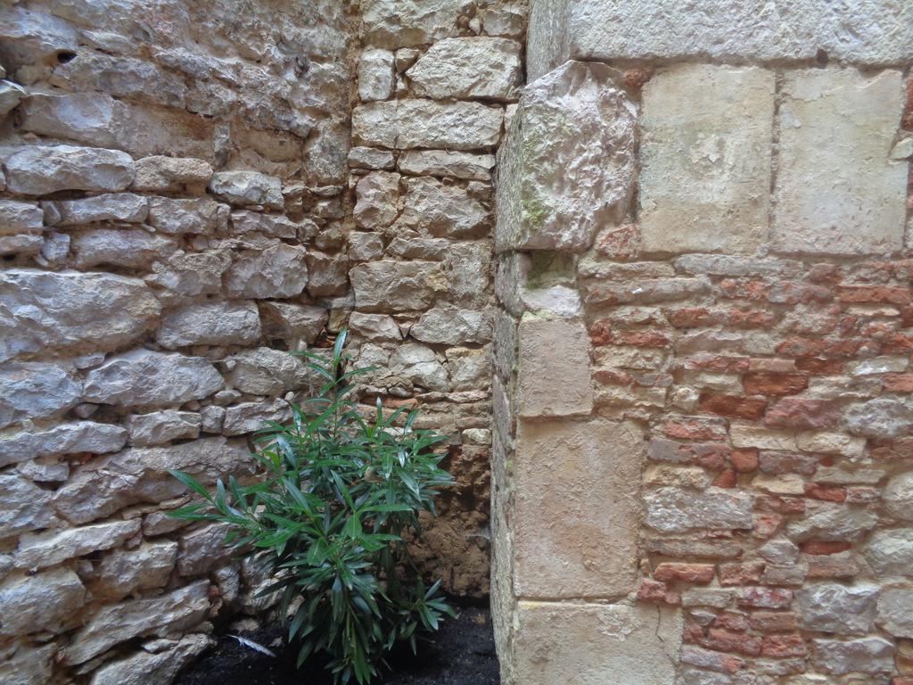 B&B Le Chat Qui Dort Montricoux Exterior photo